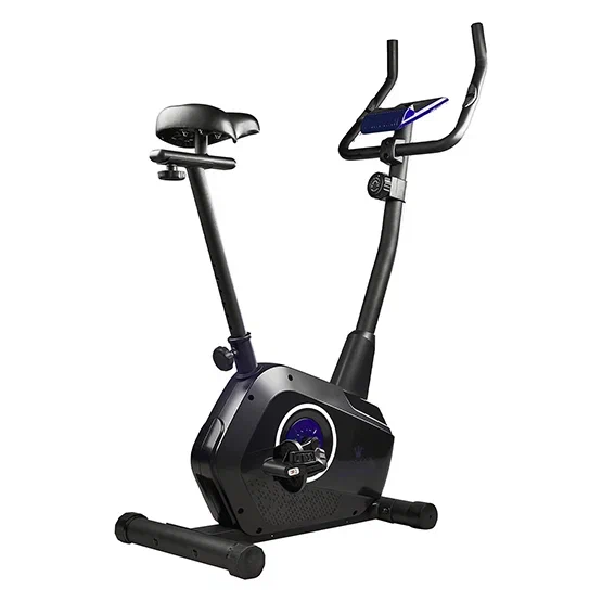 Royal Fitness велотренажер магнитный  RFIB-15